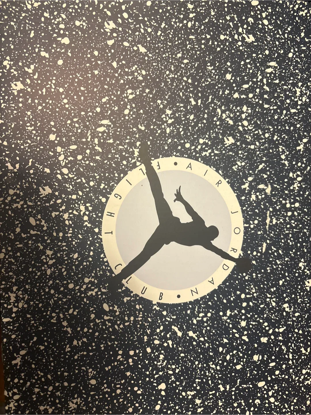 Air Jordan 7 Retro Black/Sky Blue Size 12 image indicator(2)