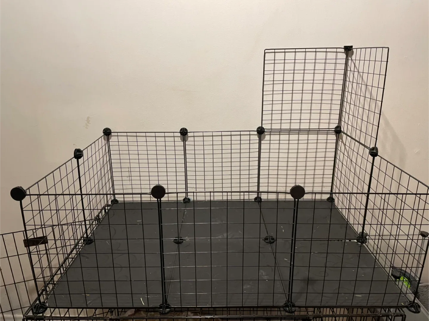 C&C Cage Guinea Pigs 42” x 28”