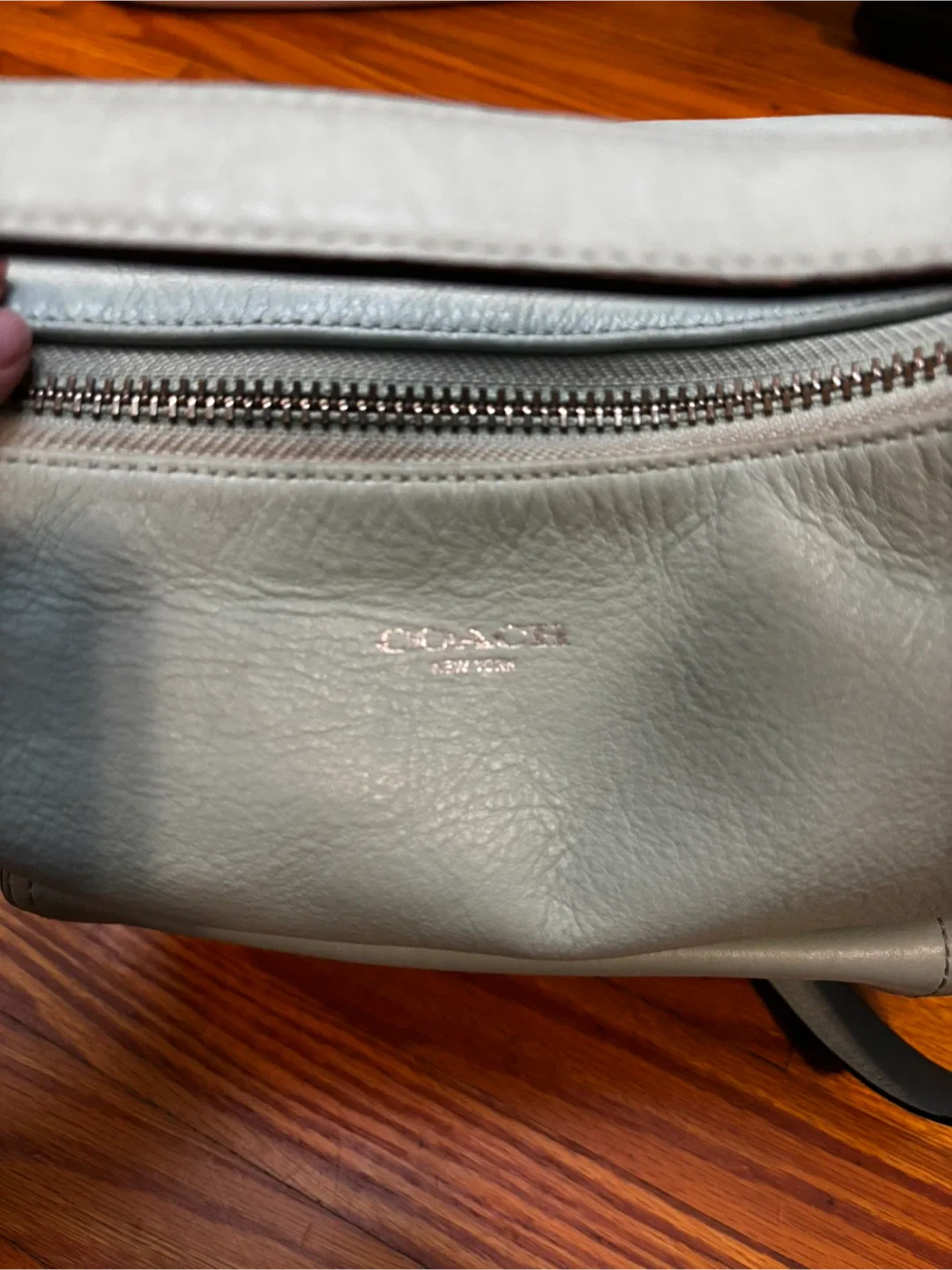 Coach Leather Bag - Light Teal image indicator(3)