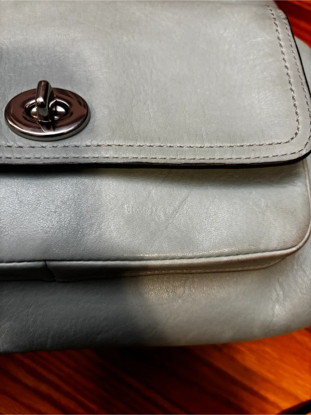 Coach Leather Bag - Light Teal image indicator(4)