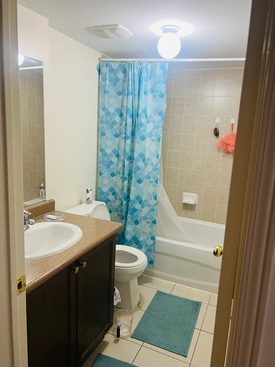 1 Bedroom Basement Available image indicator(5)