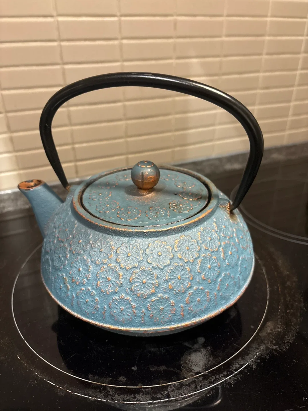 Blue Cast Iron Teapot