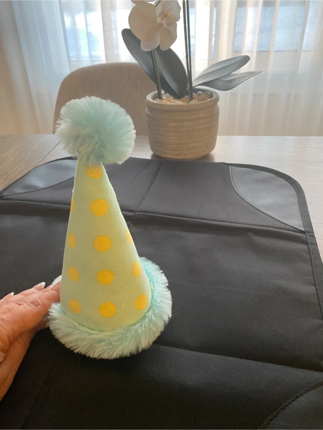 Party Hat for Dogs/Cats