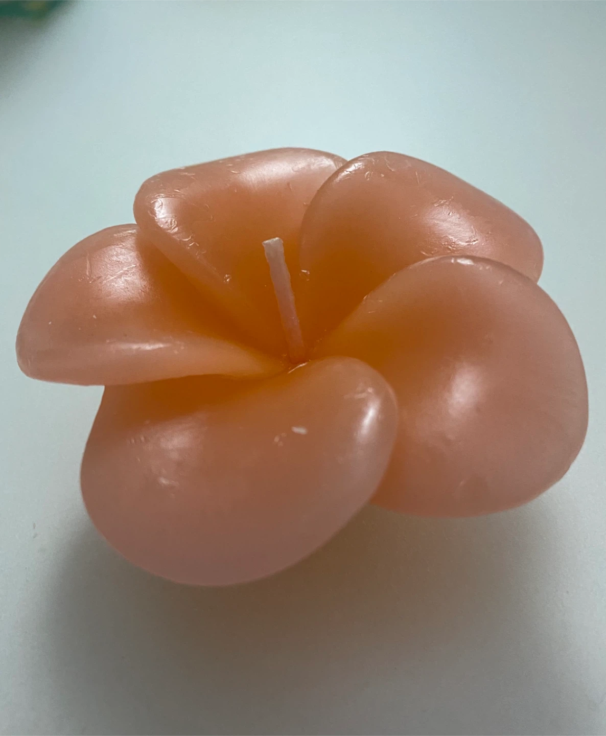 Flower Candle