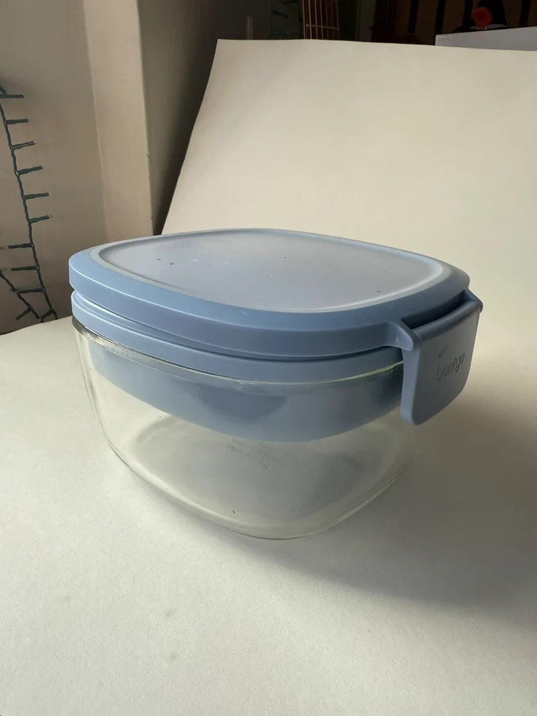 Bentgo lunch container