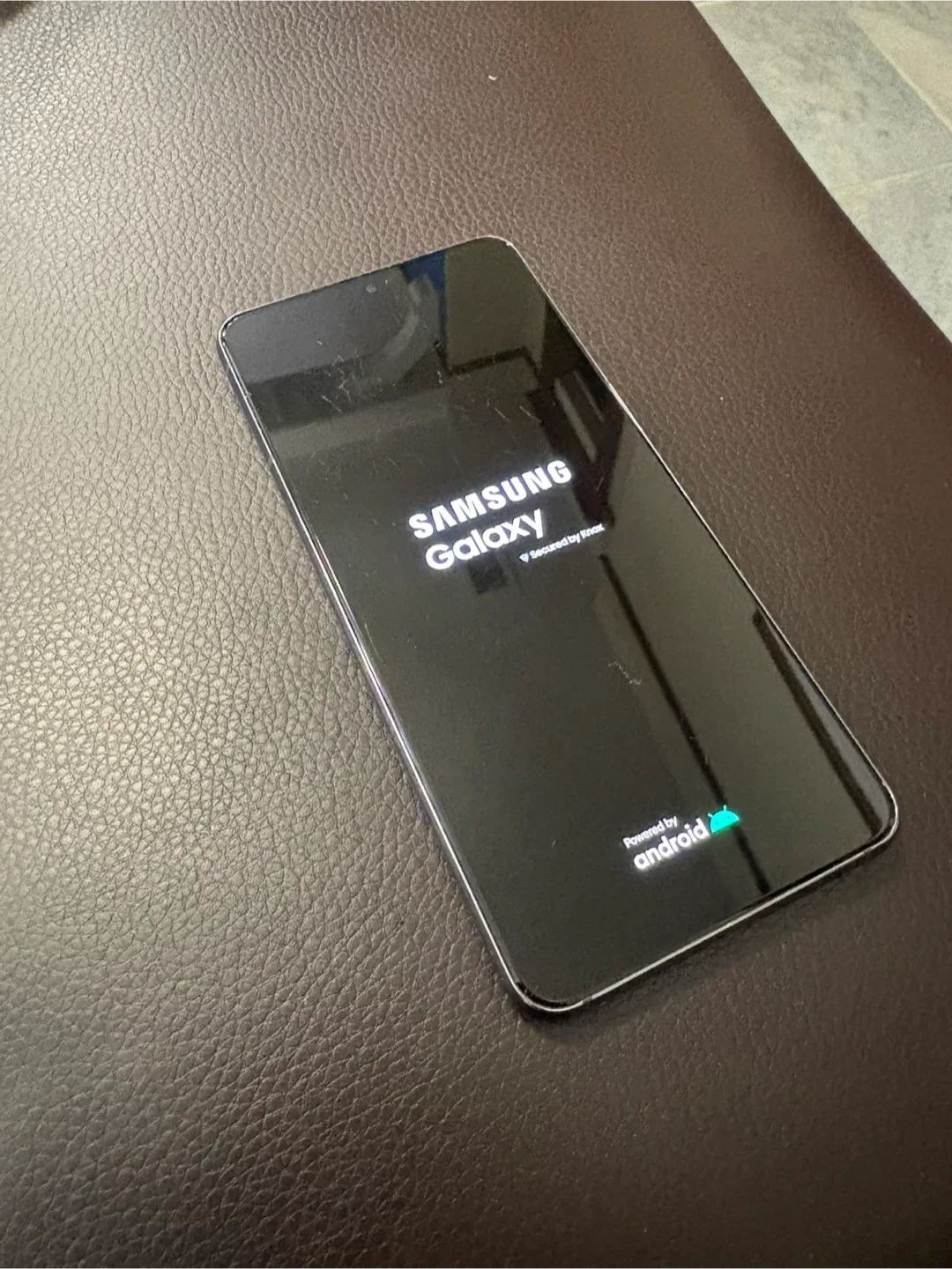 Samsung Galaxy S21 5G dual sim world image indicator(6)