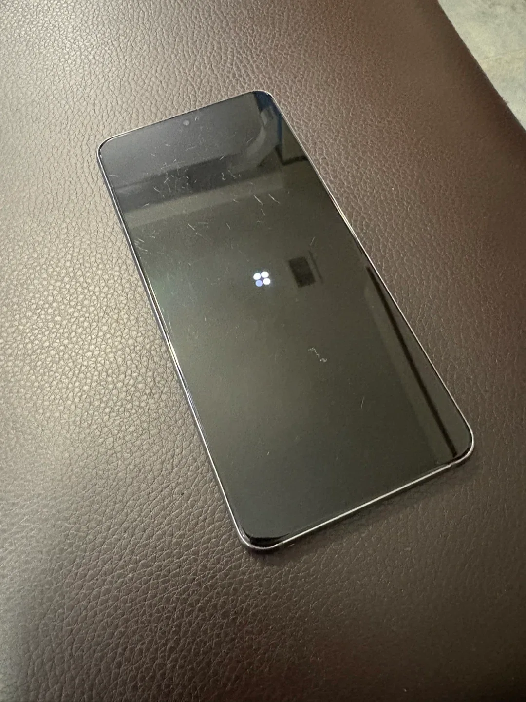 Samsung Galaxy S21 5G dual sim world image indicator(9)