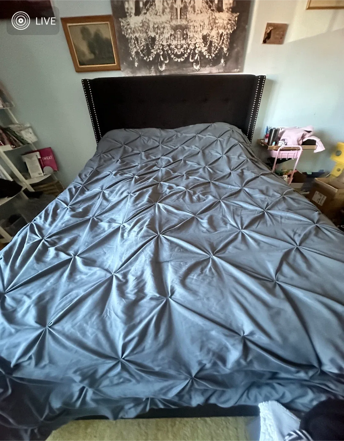 QUEEN Black Tufted Headboard & Bed Frame