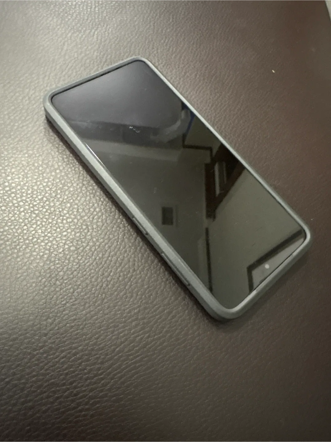 Samsung Galaxy S21 5G dual sim world image indicator(10)