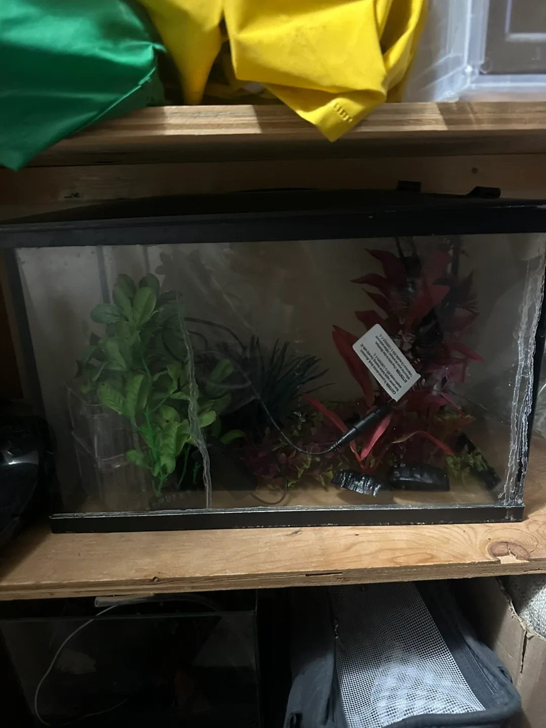 5 Gallon Fish Tank with Accessories