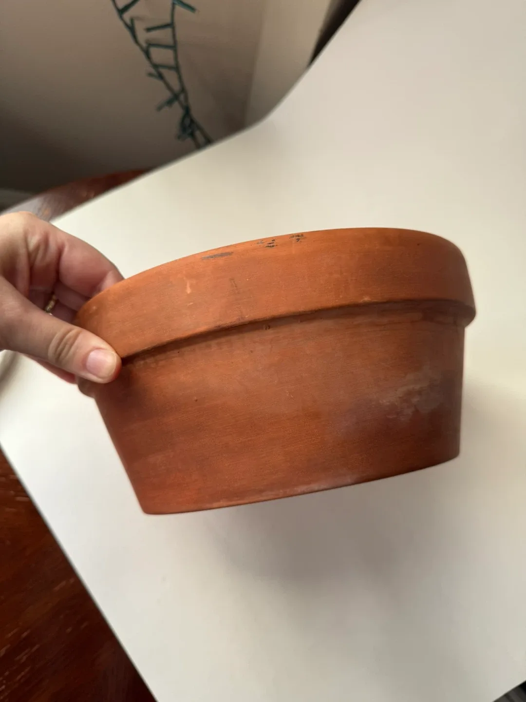 10” Terracotta Pot image indicator(2)