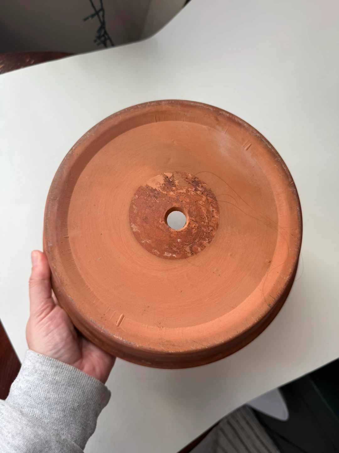 10” Terracotta Pot - photo 4