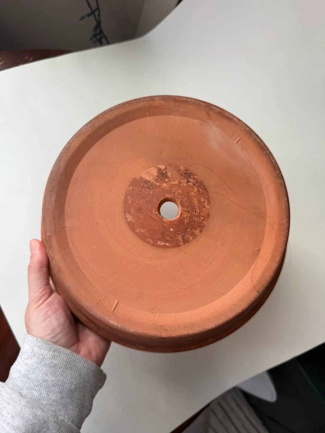 10” Terracotta Pot image indicator(4)