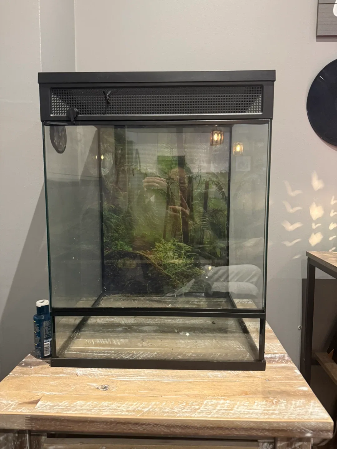 Exo Terra Terrarium image indicator(4)