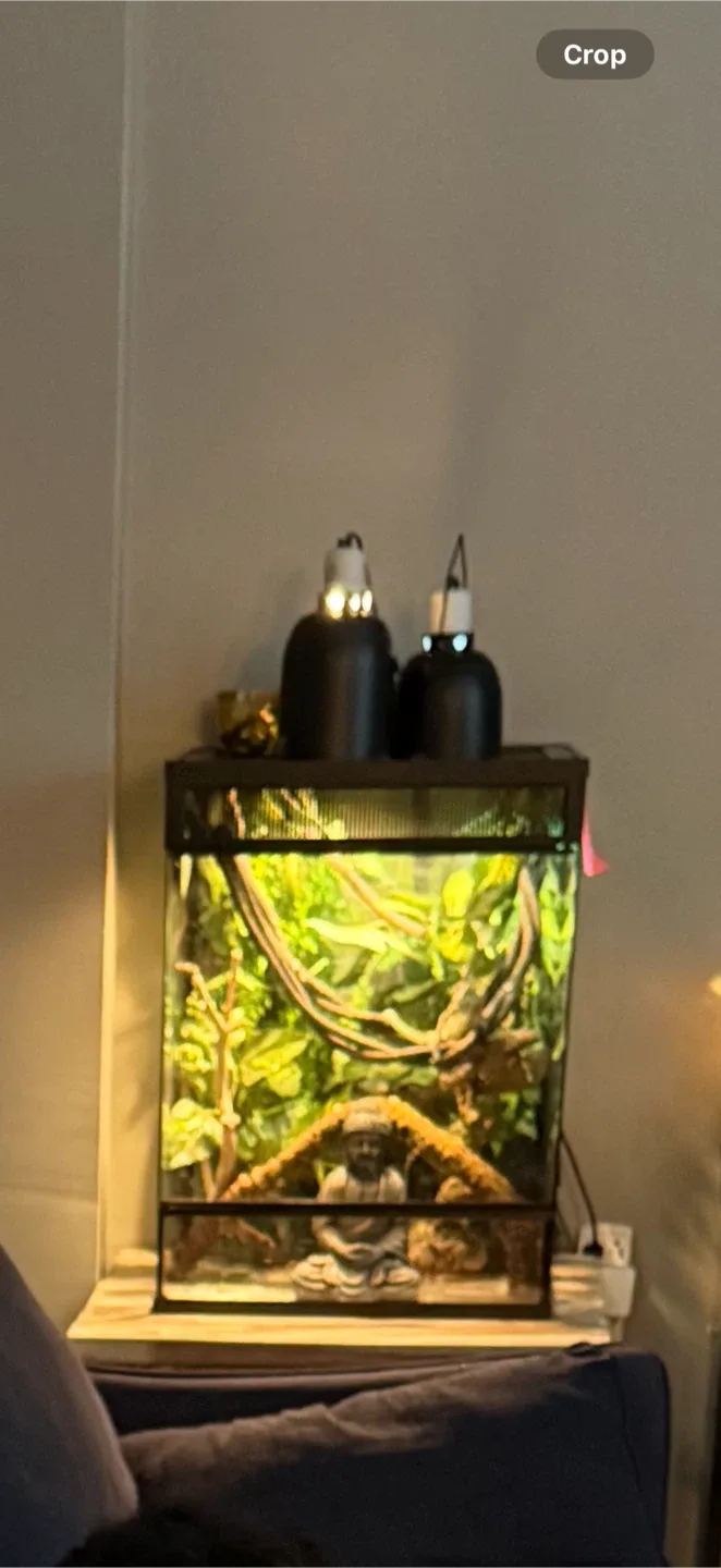 Exo Terra Terrarium image indicator(2)