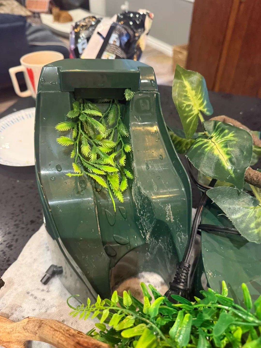 Exo Terra Terrarium image indicator(6)