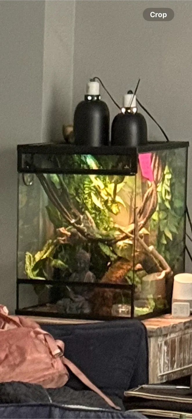 Exo Terra Terrarium
