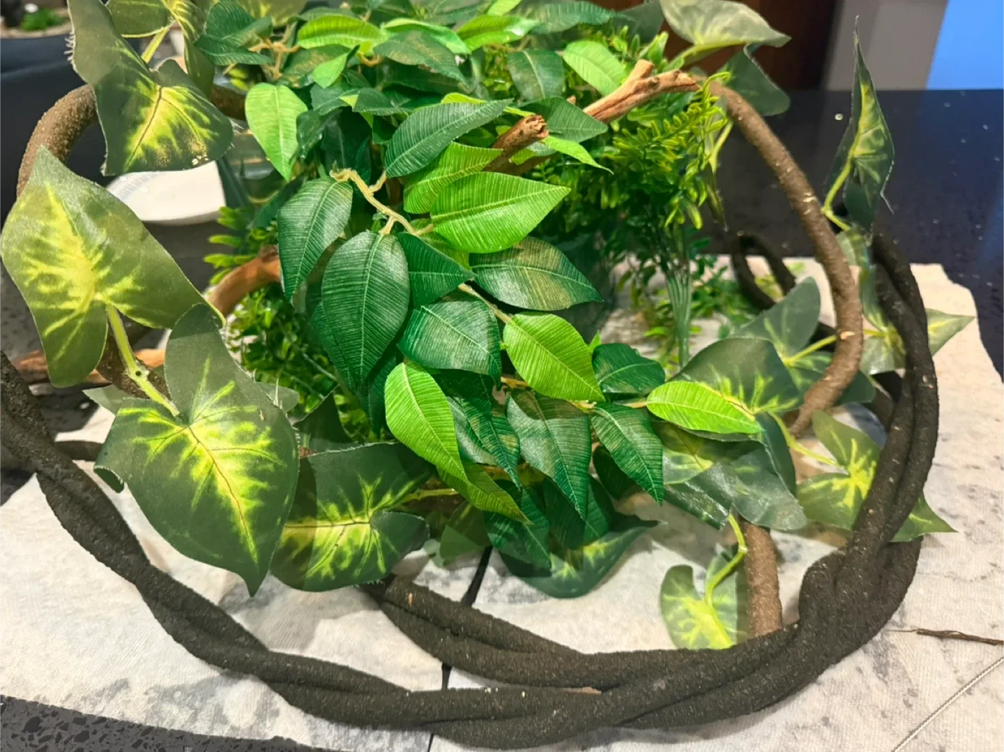 Exo Terra Terrarium image indicator(5)