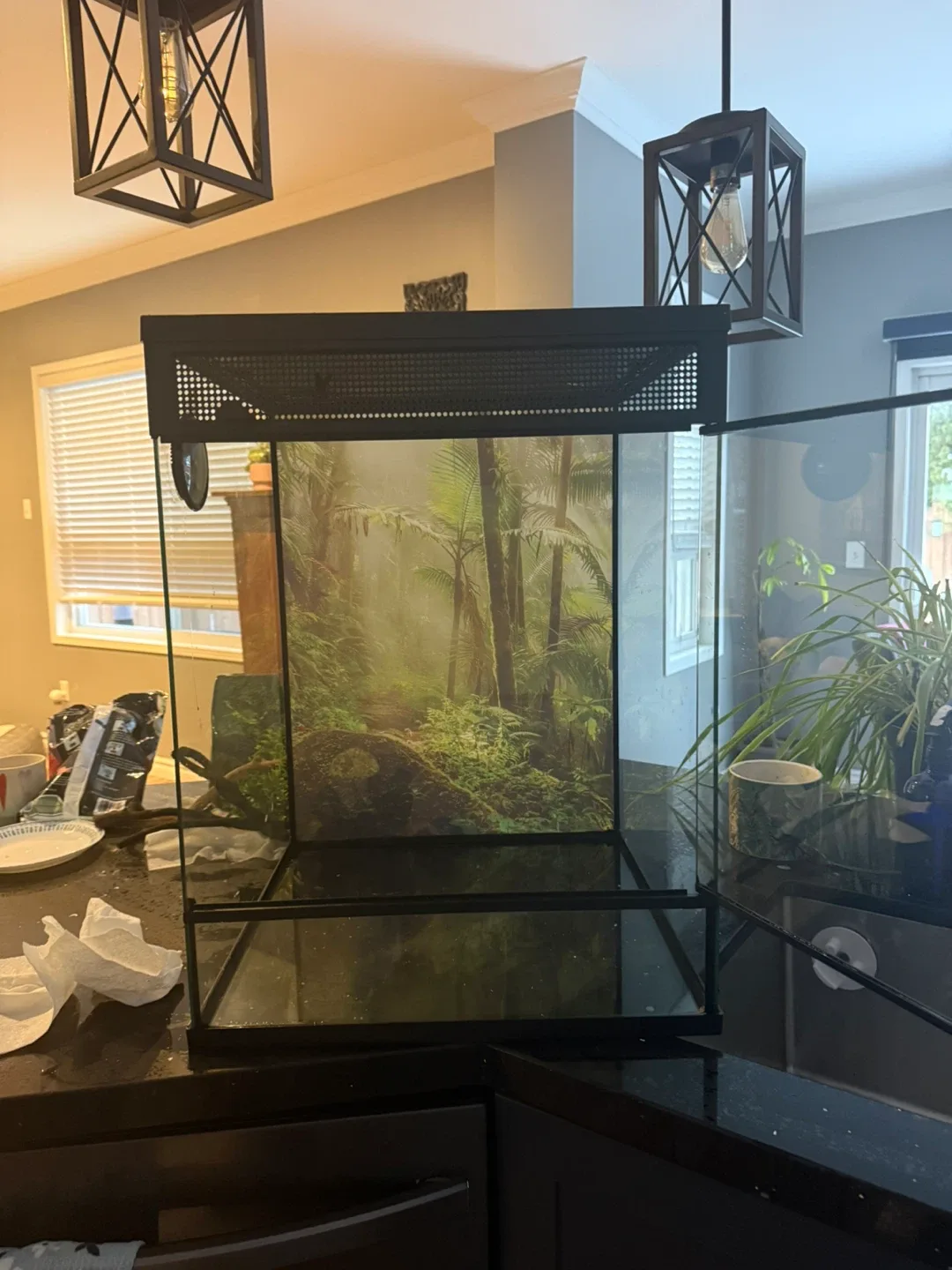 Exo Terra Terrarium image indicator(7)