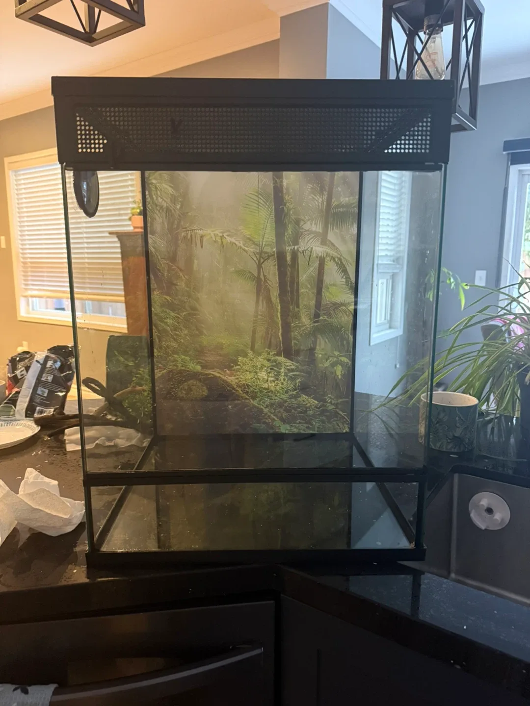 Exo Terra Terrarium image indicator(8)