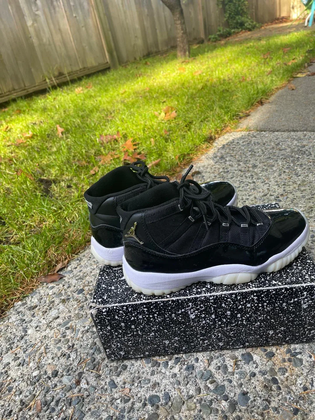 Air Jordan 11 Retro Little Flex (PS) Size 8.5 image indicator(3)