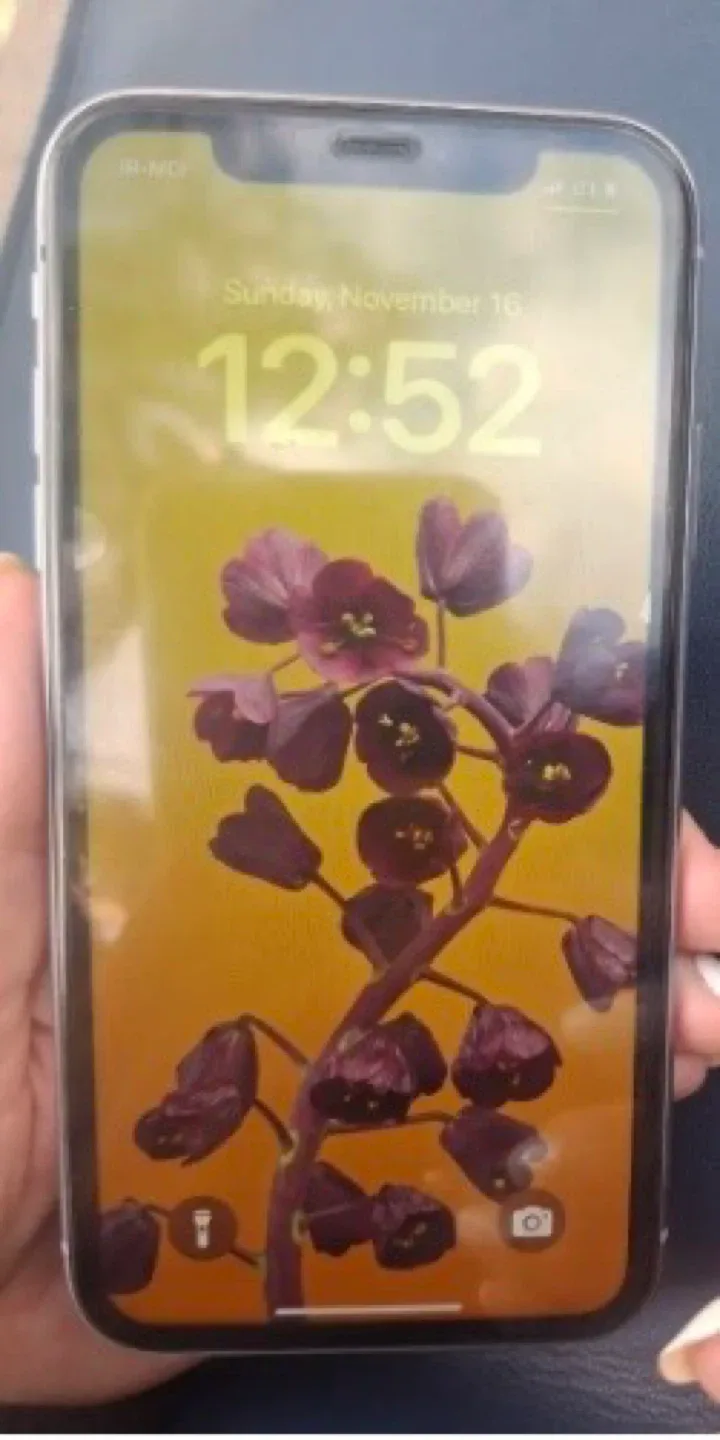 Apple iPhone 11,128 megabyte image indicator(2)