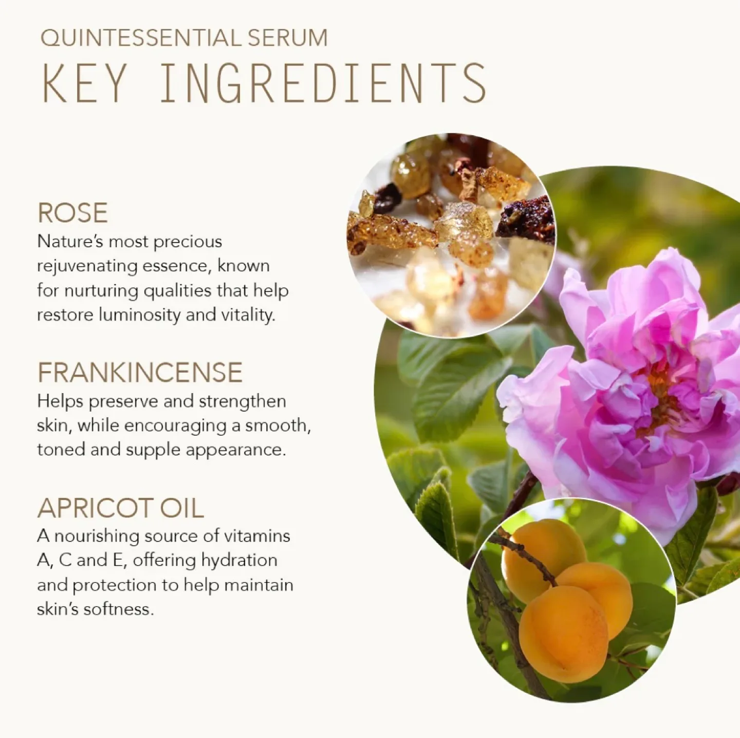 Tammy Fender Quintessential Serum - .5oz/15g image indicator(2)