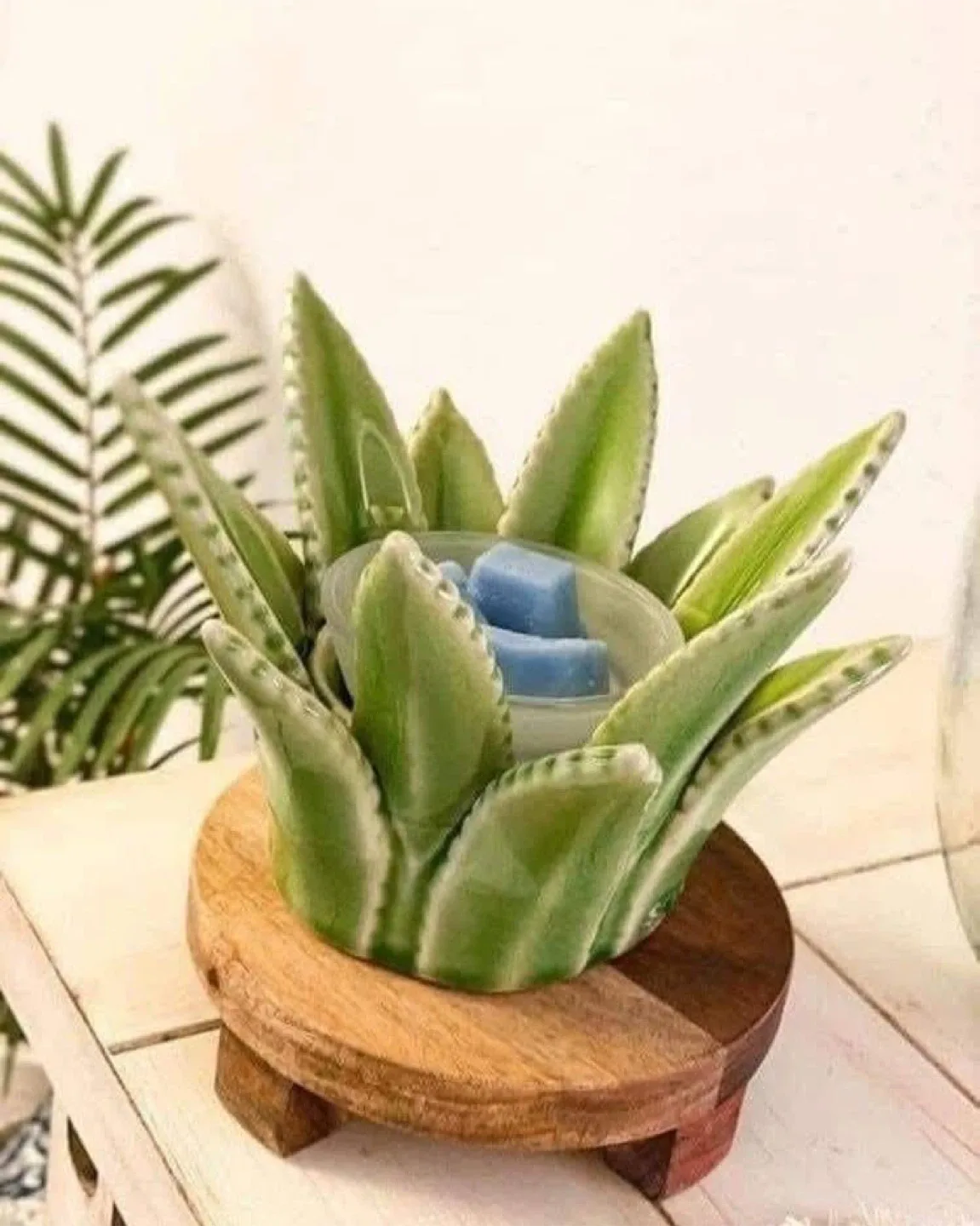Scentsy Aloe Vera Warmer