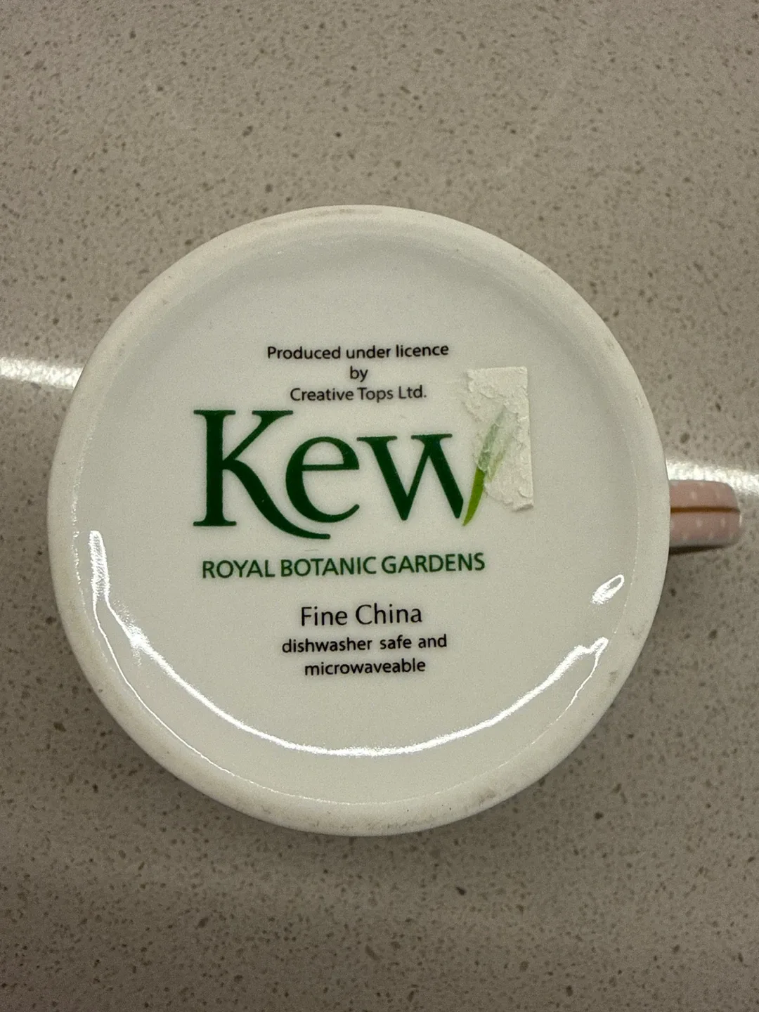 Kew Royal Botanic Gardens Fine China Mug