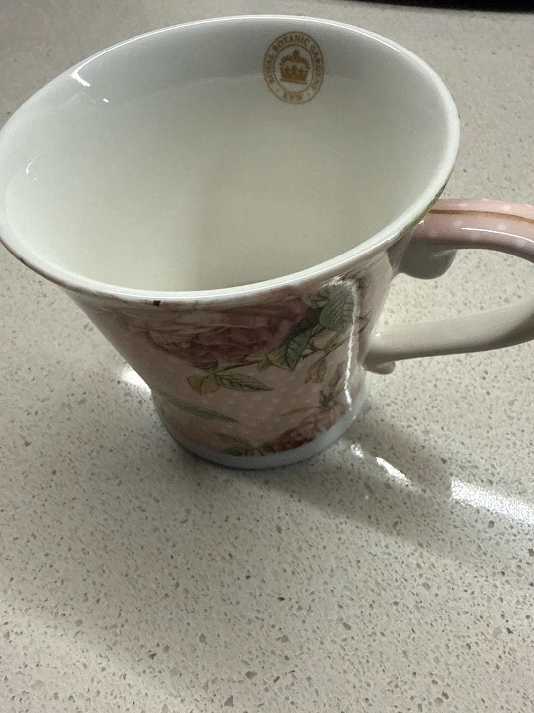 Royal Botanic Gardens Kew Mug chip in mug