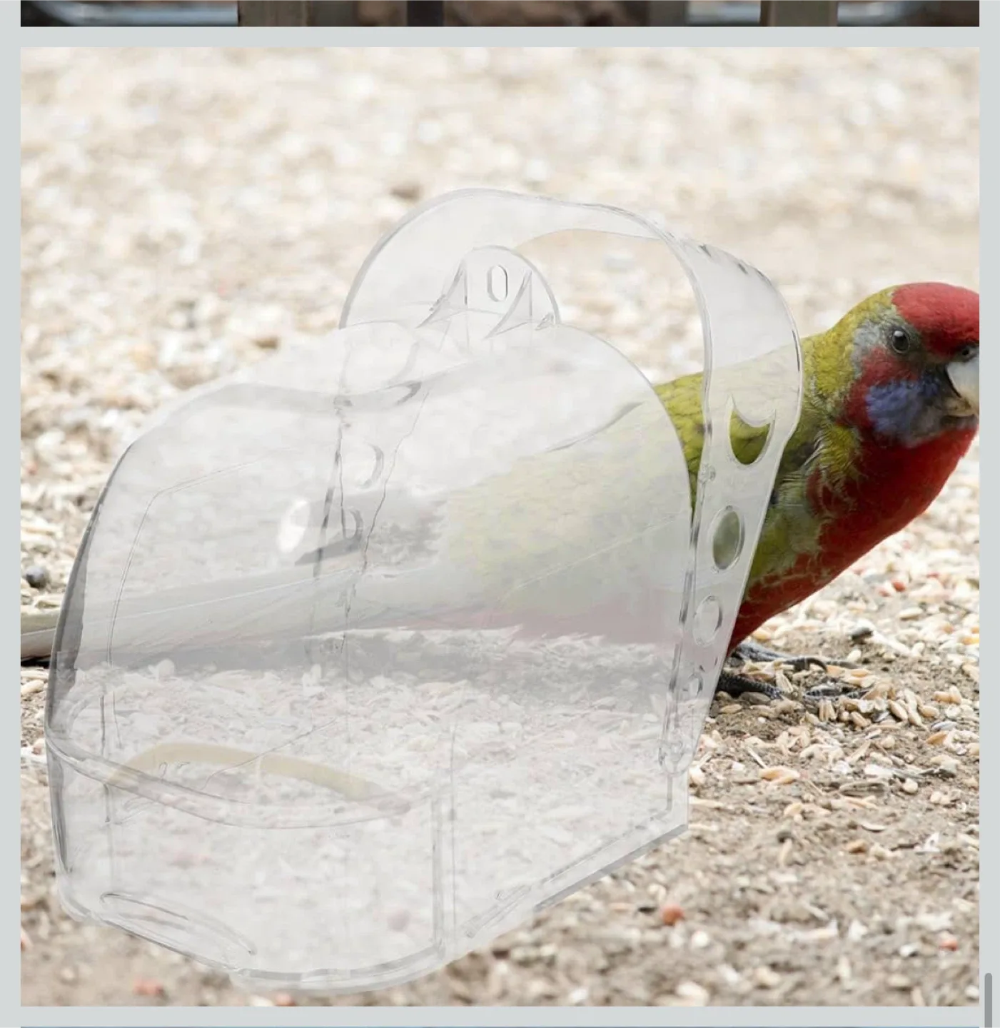 Bird Feeder - Clear Acrylic