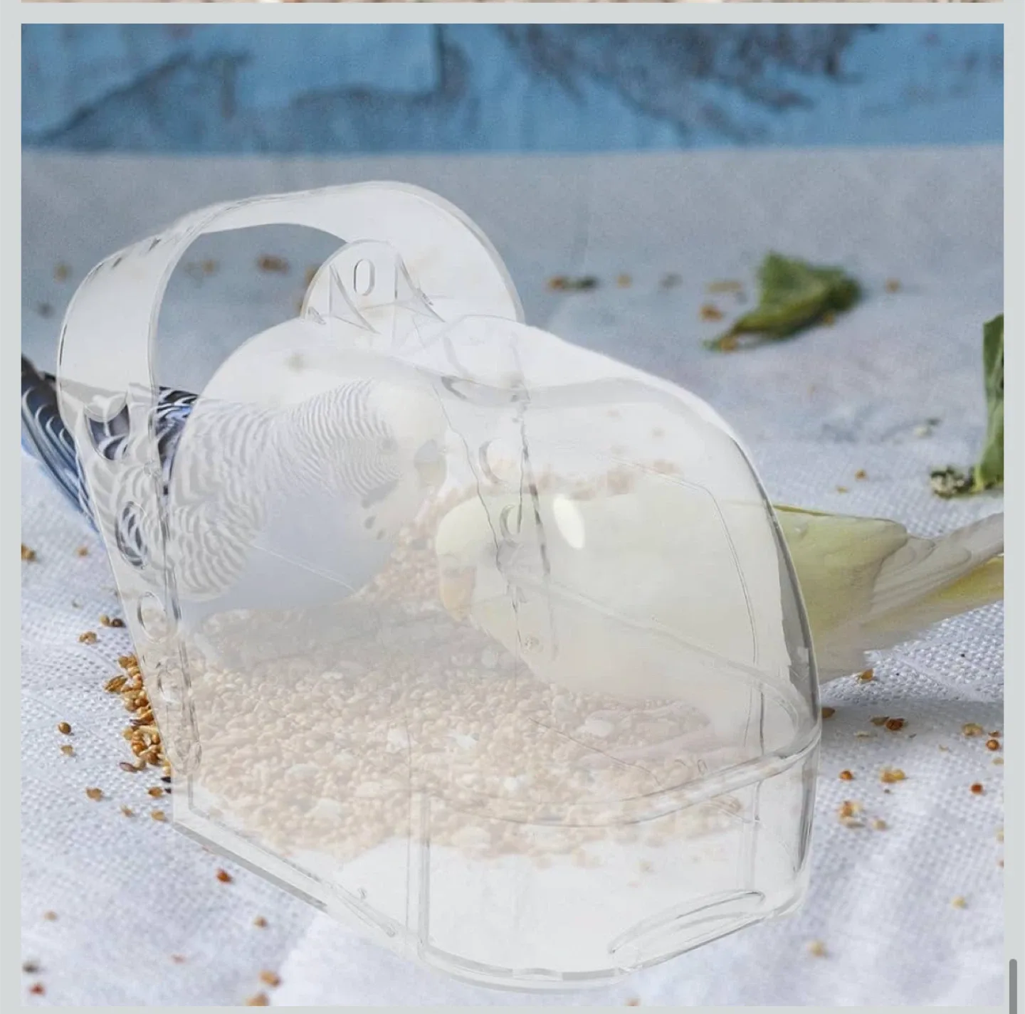 Bird Feeder - Clear Acrylic image indicator(2)