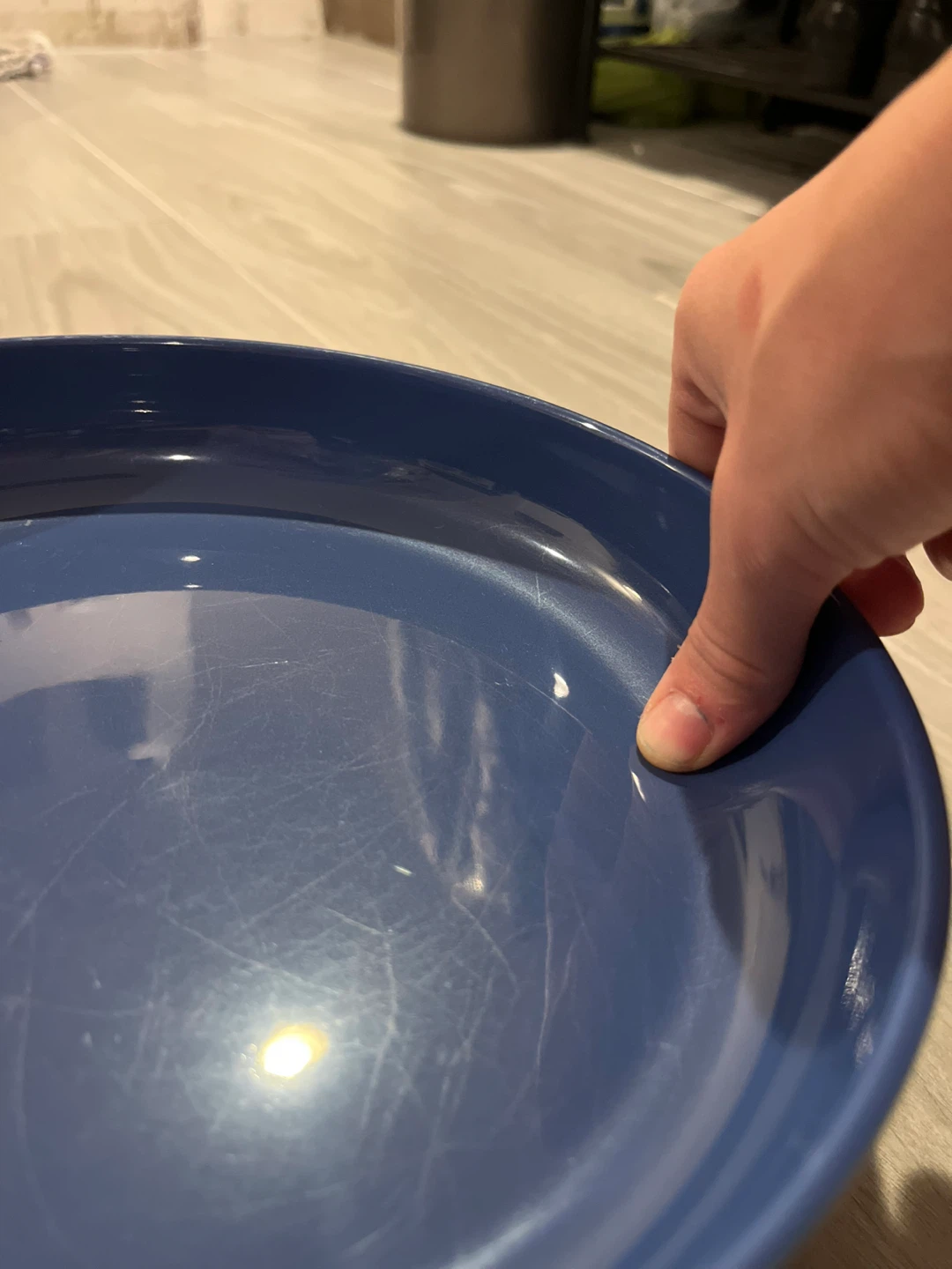 Four Blue Bowl Plates - photo 3