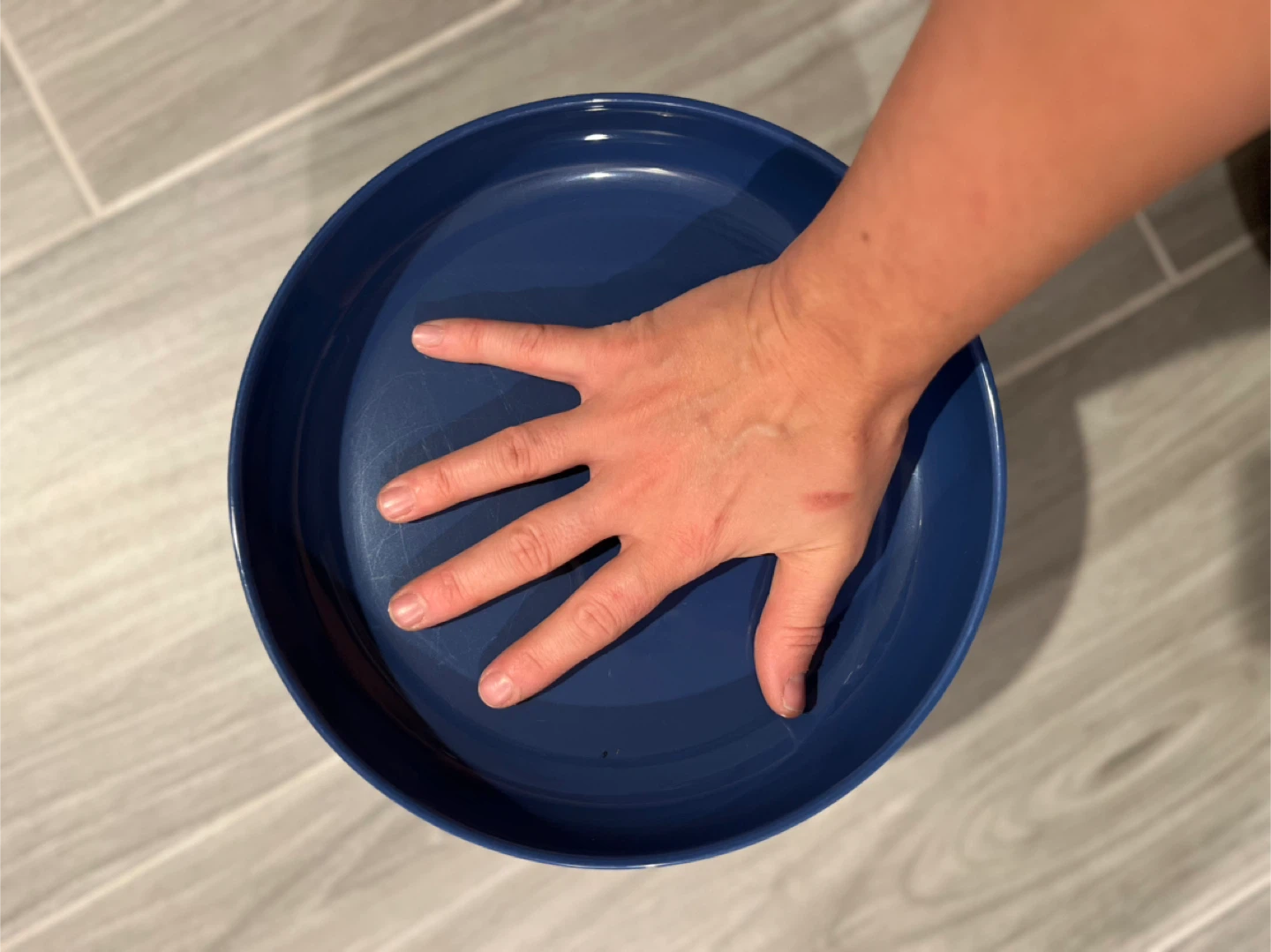 Four Blue Bowl Plates - photo 4