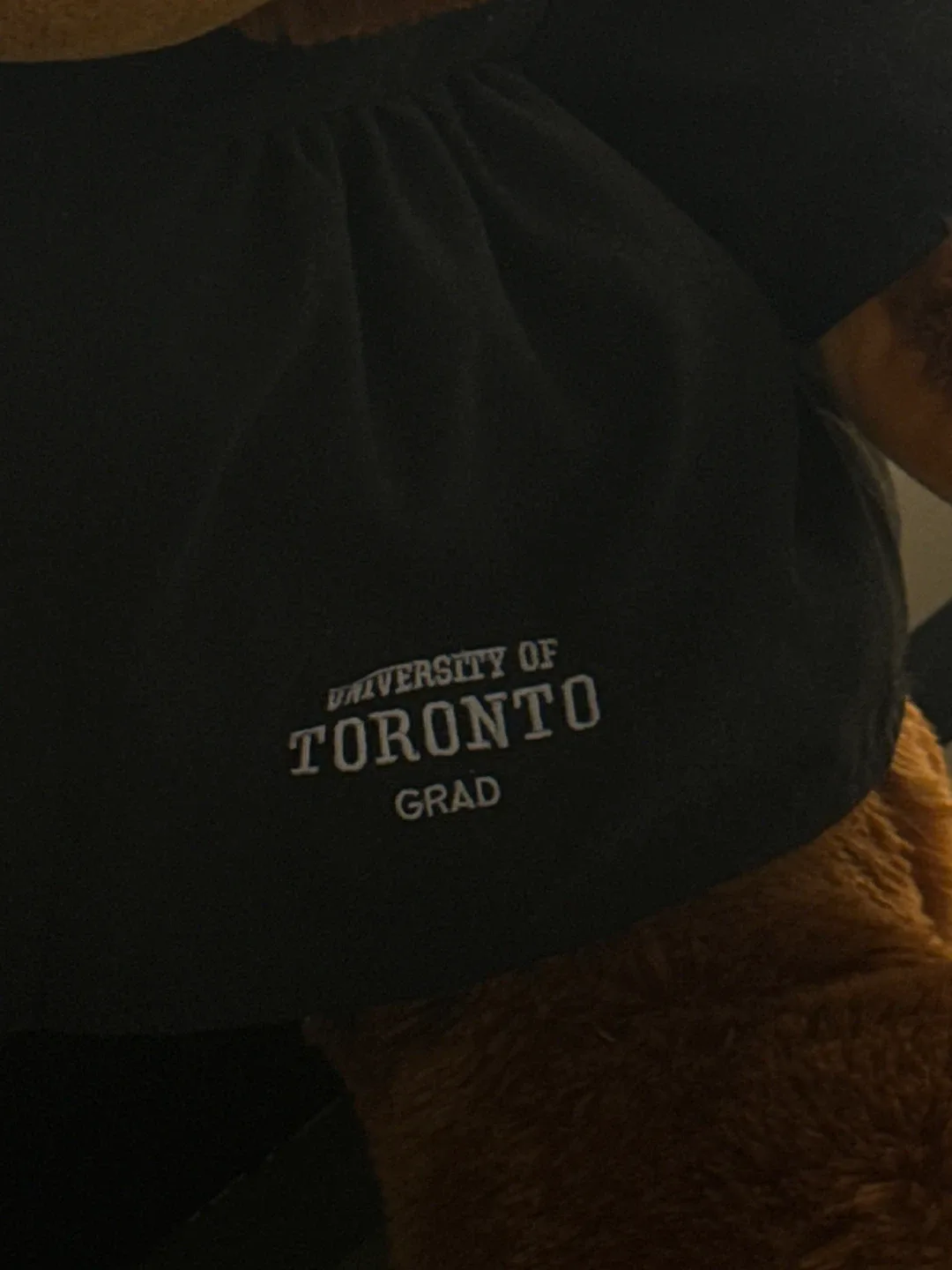 UofT Grad bear image indicator(2)