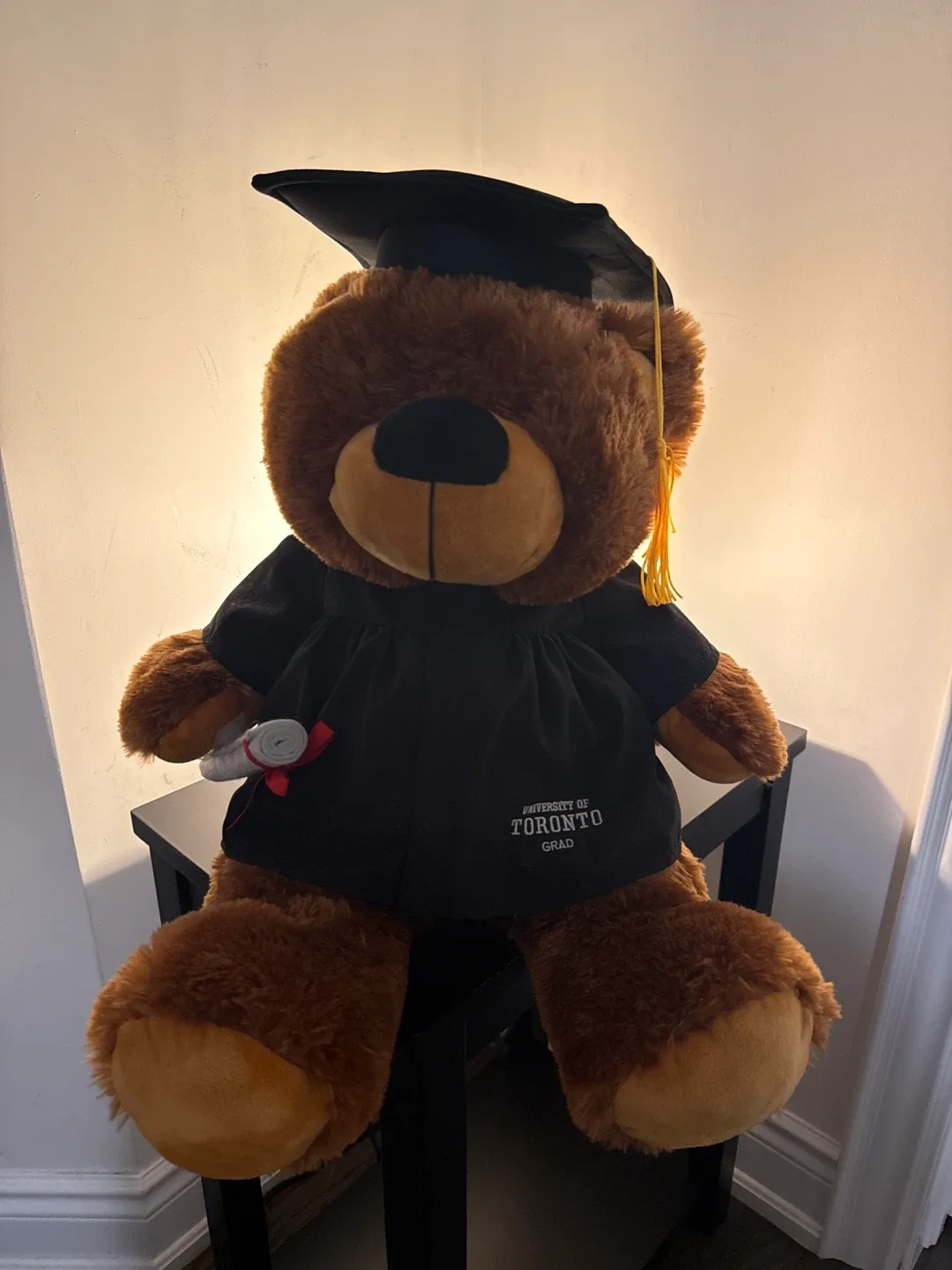 UofT Grad bear