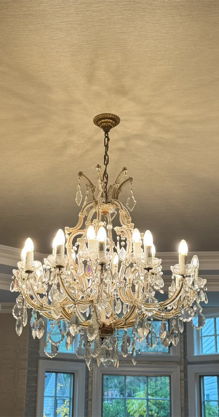 Antique Chandelier image indicator(2)