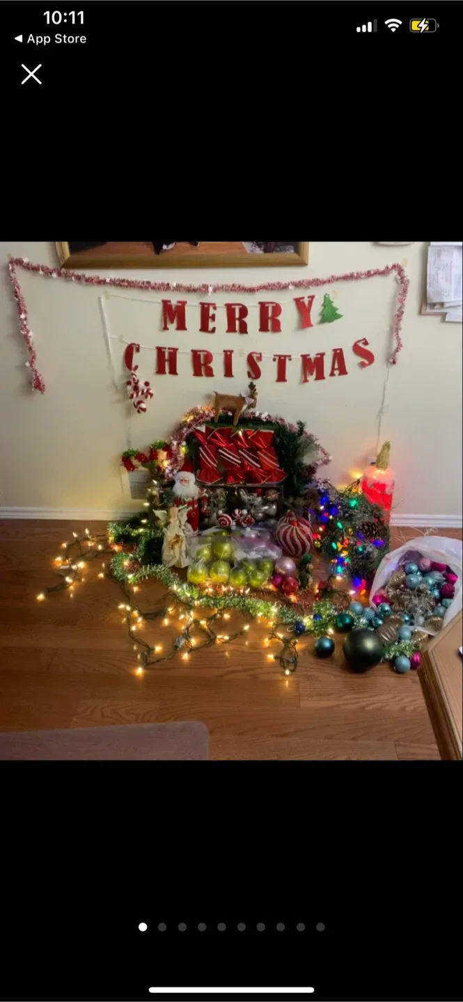 Lots of Christmas Decorations Set