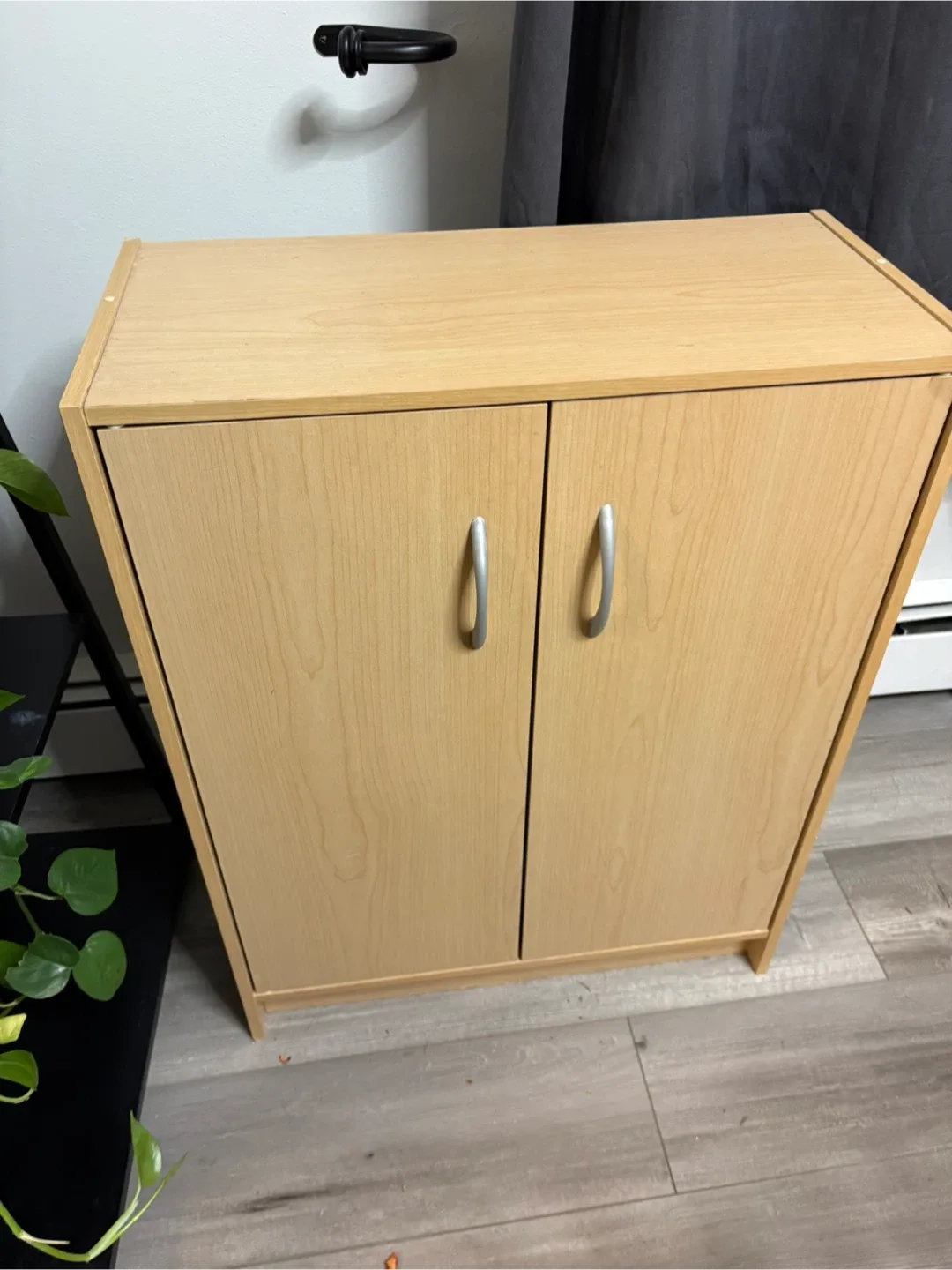 Small Wooden Cabinet with Doors