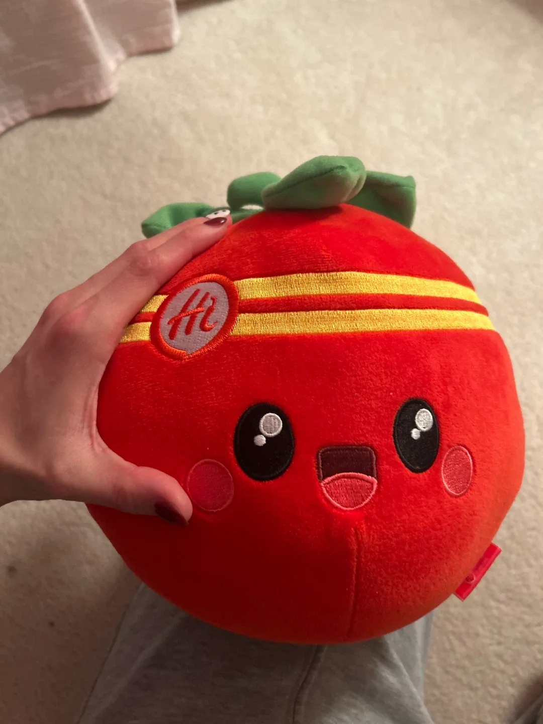 Haidilao Tomato plush image indicator(2)