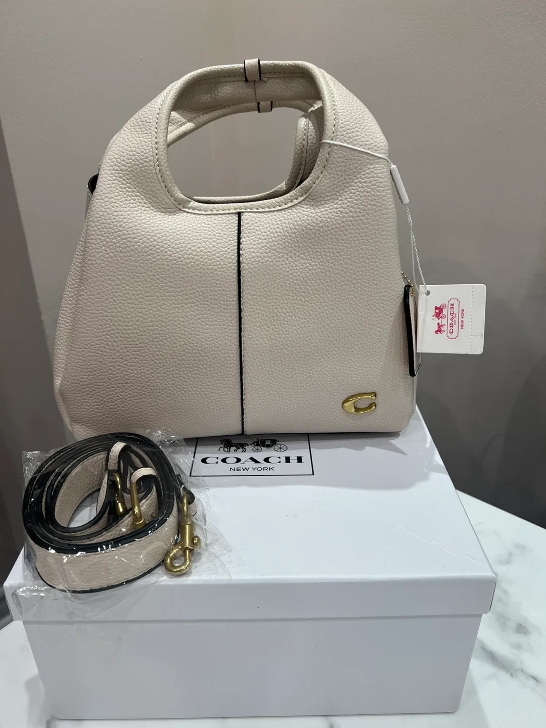 Coach Lana bag image indicator(3)