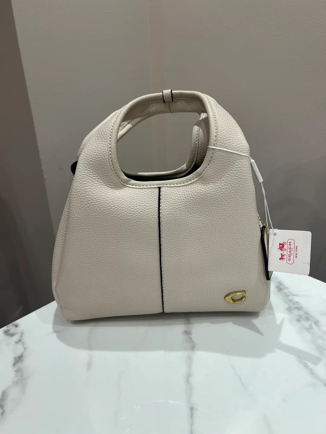 Coach Lana bag image indicator(2)