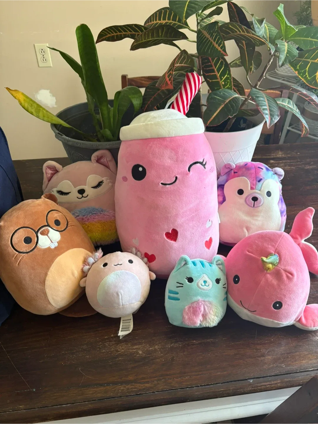 Squishmallows Plush Collection