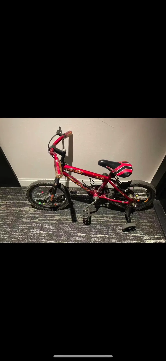 Cybercycle Storm MTB Bike