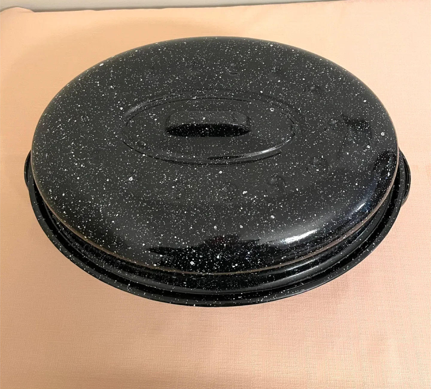 Speckled Black Roasting Pan with Lid image indicator(2)