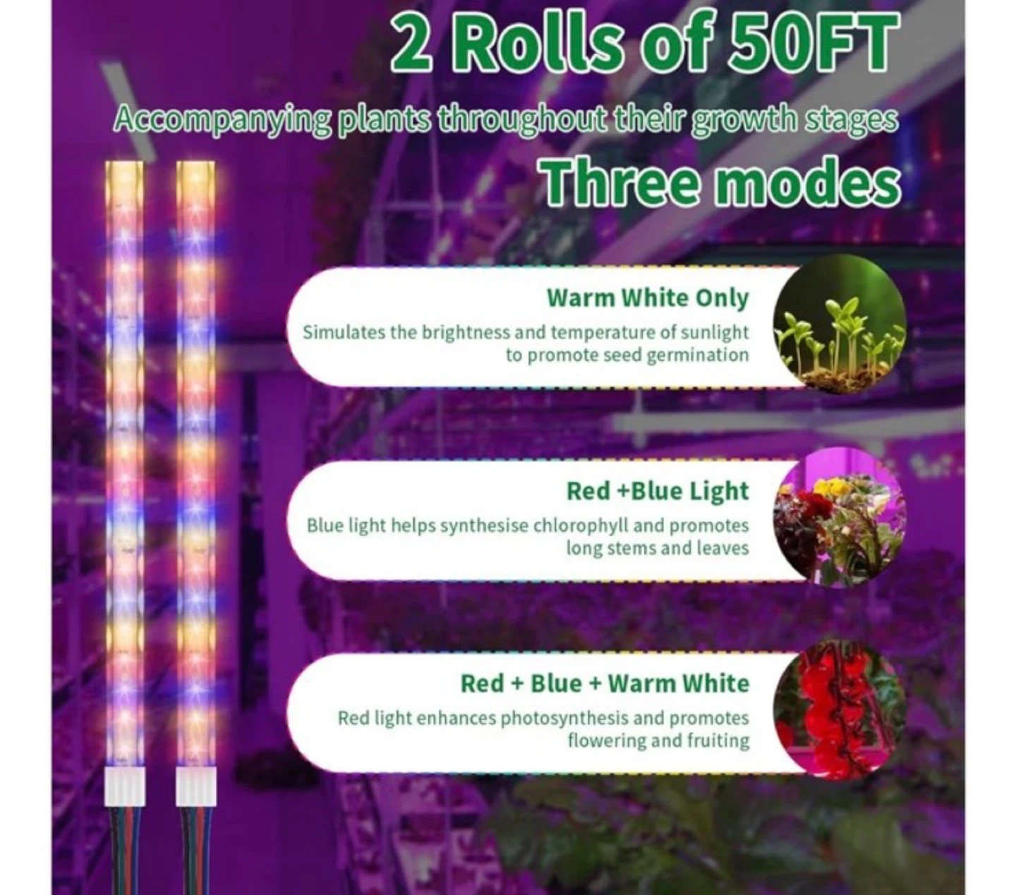 RITOAO LED Grow Light Strips - 100FT - photo 3