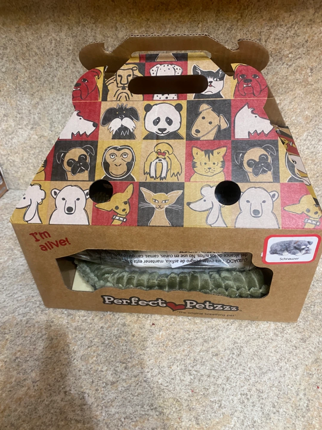 Adopt a pet