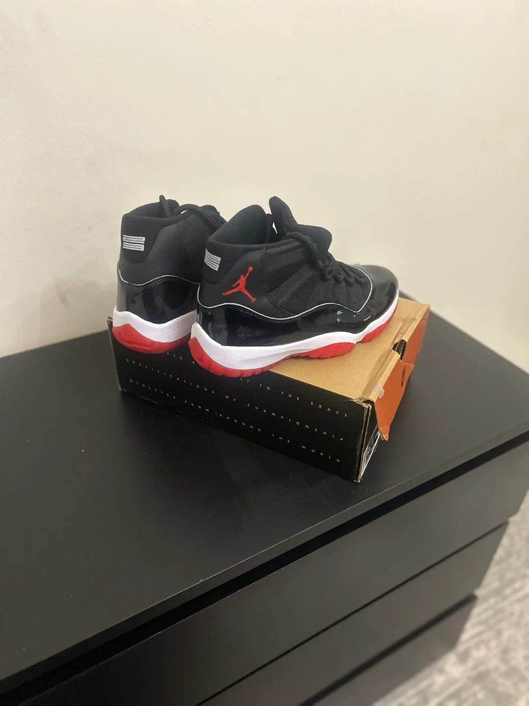 Nike Air Jordan 11 Retro, Size 10 image indicator(6)