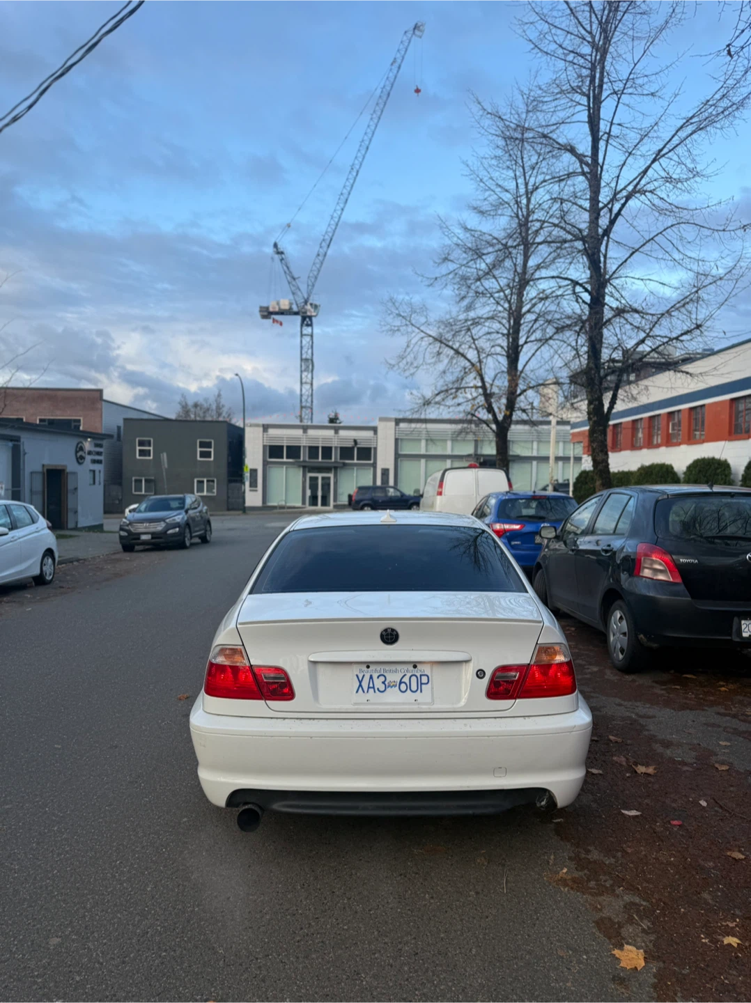 White BMW Coupe - photo 3