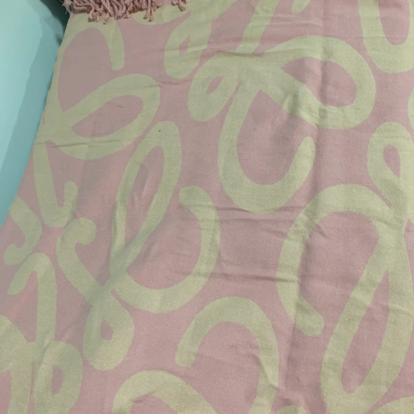 Loewe Pink Cashmere/Silk Scarf